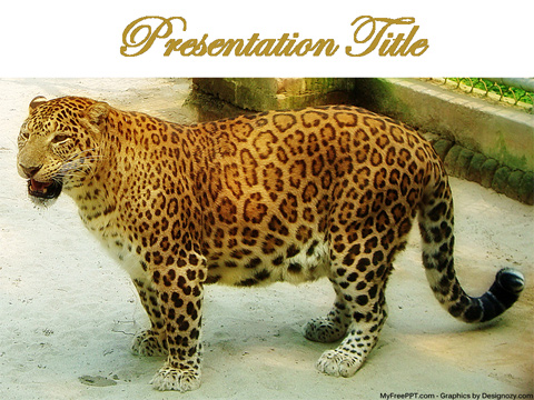 Leopard PowerPoint Template 