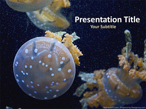 Aquarium Jelly Fishes PowerPoint Template