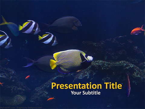 Sea Fishes PowerPoint Template