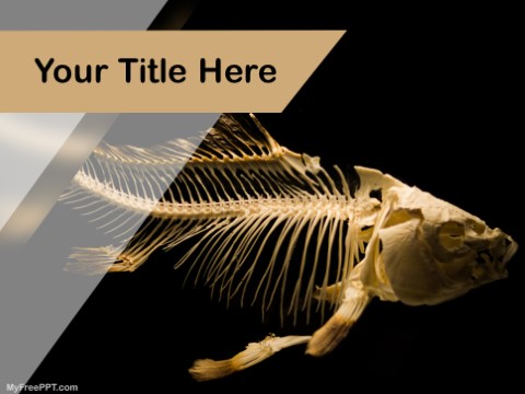 Free Fish Skeleton PPT Template 