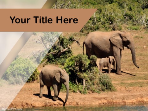 Free Save Wildlife PPT Template Download Free PowerPoint PPT