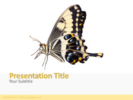 Free Butterfly PowerPoint Template - Download Free PowerPoint PPT