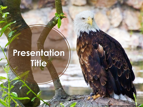 Eagle PowerPoint Template