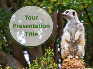 Free Rabbit PPT Template Download Free PowerPoint PPT
