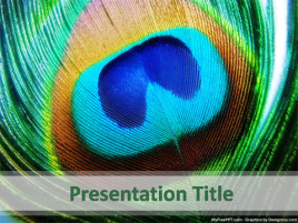 Free Peacock Feather PowerPoint Template - Download Free PowerPoint PPT