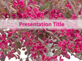 Free Natural Flowers PowerPoint Template - Download Free PowerPoint PPT