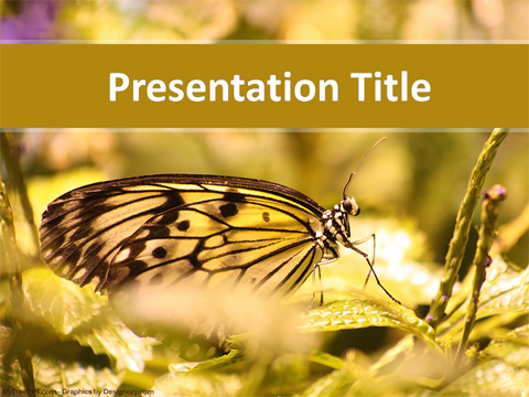 Butterfly Lifestyle PowerPoint Template