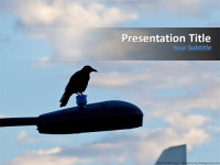 Free Crow PowerPoint Templates - MyFreePPT.com