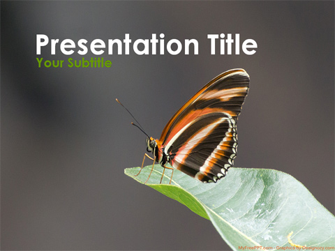 Nature Butterfly PowerPoint Template