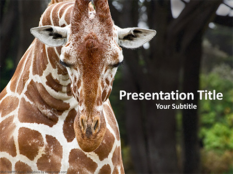 Giraffe PowerPoint Template