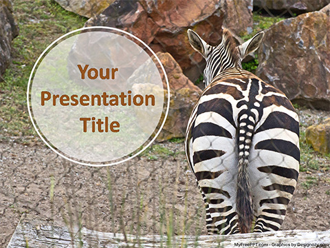 Zebra PowerPoint Template