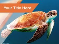 Free sea turtle PowerPoint Templates - MyFreePPT.com
