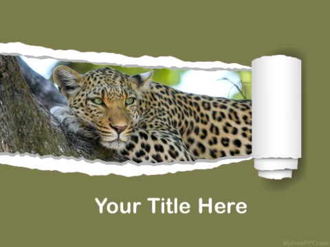 Free Leopard PowerPoint Templates 